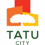 Tatu-size